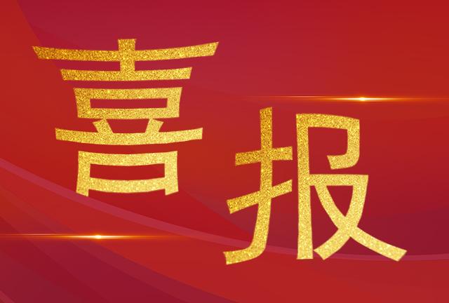 喜報(bào)|加華榮獲2024年度中國(guó)電工技術(shù)學(xué)會(huì)科技進(jìn)步獎(jiǎng)